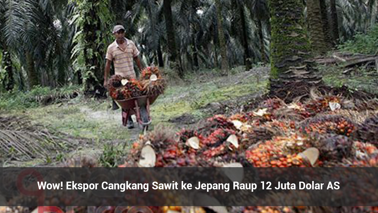 Wow! Ekspor Cangkang Sawit ke Jepang Raup 12 Juta Dolar AS - foto: lantaibursa.id - pagarbisnis.com